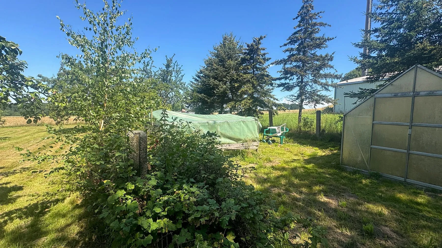 Weitläufiger Garten mit Gewächshaus