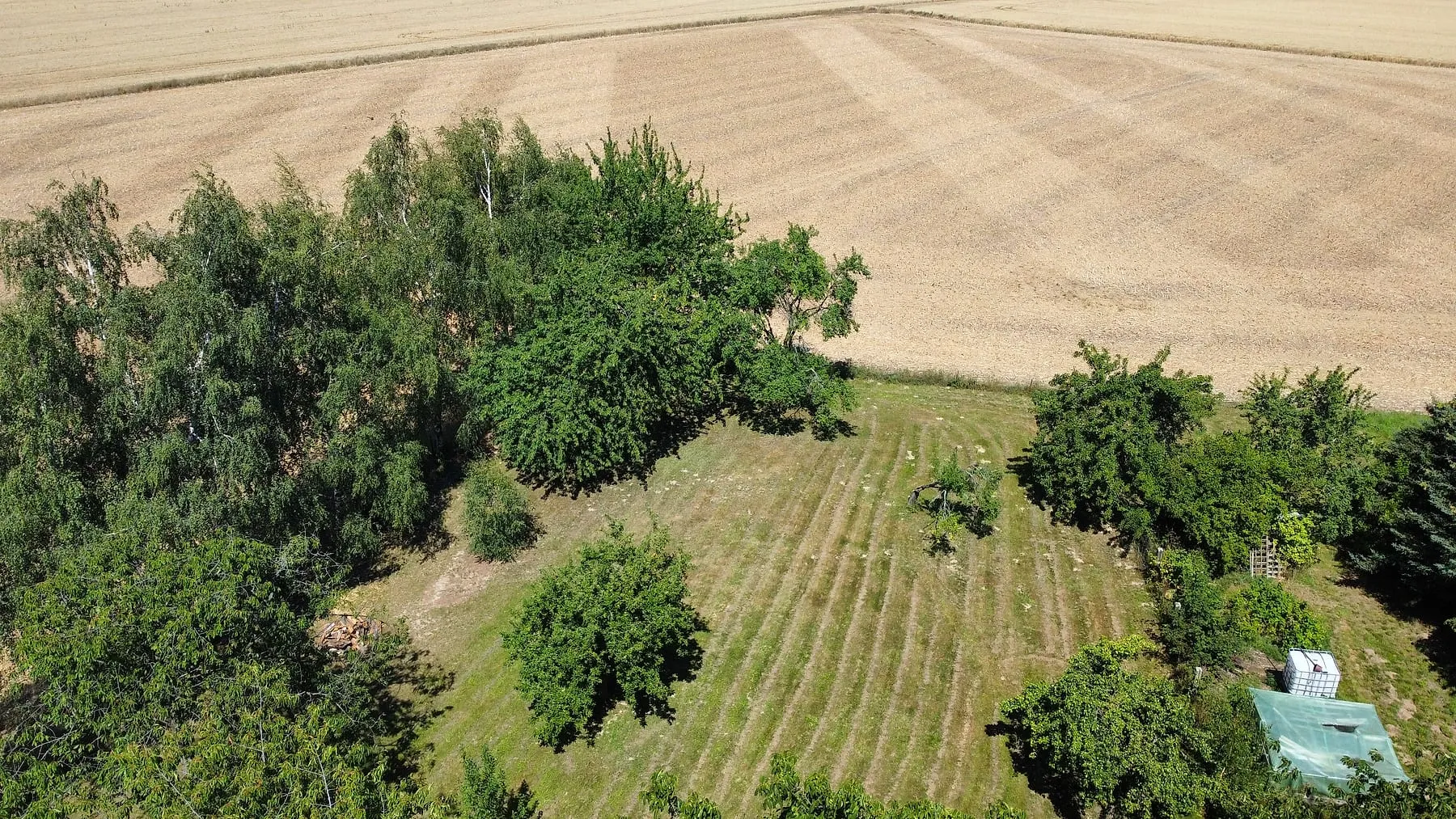 Garten und Obstwiese aus der Vogelperspektive
