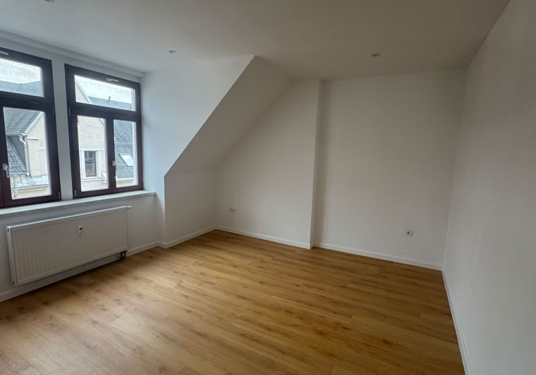 Freiberg - Schönlebestraße 13 - FSL-07